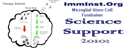 Microglial Stem Cell Research Imminst Fundraiser 2010 (1).png