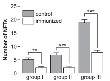 Tau Vaccination Lowers the Burden of Neurofibrillary Tangles