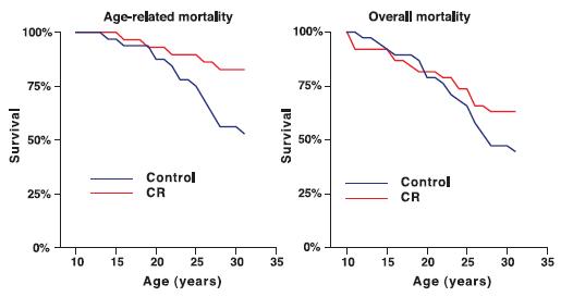 CR in U. Wisconsin Primates Reduces Age-Related Mortality