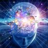 Aniracetam vs Piracetam Serving Sizes - last post by EideticMind
