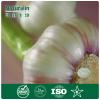 Garlic Extract Additive Rosemary Extract Additive