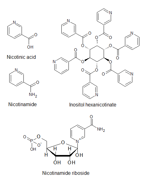 Different forms of vitamin B3.png