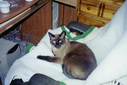 IMG023.JPG