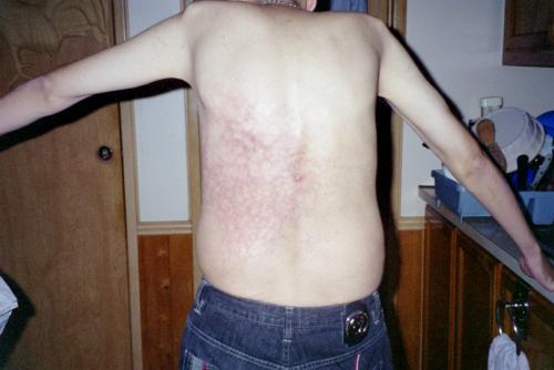 IMG002.JPG