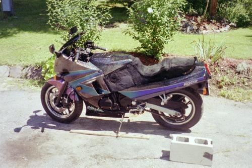 IMG003.JPG
