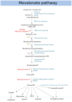 450px-Mevalonate_pathway.svg.png