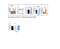 effect of GDF11 on TERC.png