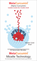 MetaCurcumin-Micelles-02222015.png