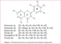 Myricetin.PNG