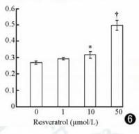 Resveratrol_Telomerase_Activity_TRAP.jpeg