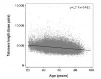 Telomere length vs age.jpg