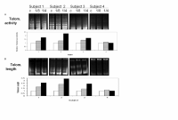 TSY effect on T cells taken from Humans.png