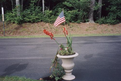 House_Pictures__The_Cave__002_Landscape_Pots.jpeg