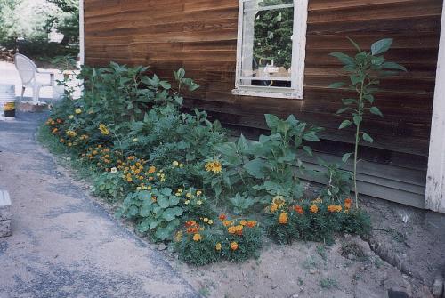 House_Pictures__The_Cave__007_Landscape_Flower_Bed_One.jpeg