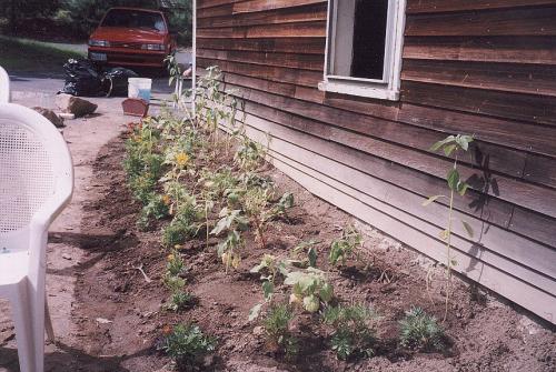 House_Pictures__The_Cave__004_Landscape_Flower_Bed_One.jpeg