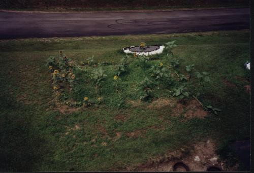 House_Pictures__The_Cave__fl004_Landscape__Flowers.jpg