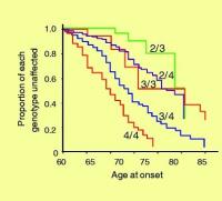 Alzheimers-disease-age-of-onset-curves-by-APOE-genotype-based-on-the-information_W6401.jpg