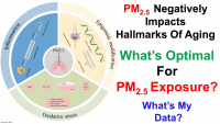 pm2.5 thumb.png