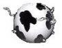 Spherical Cow's Photo
