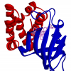 acetylcysteine's metabolism to cysteine - last post by Jim Morrison