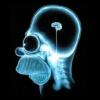 Dopamine D1 Agonist For Cognitive Enhancement - last post by formergenius