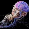 Epstein-Barr Virus (EBV) & Fatigue (CFS) – Can you help interpret my results & approach? - last post by NeuroGeneration
