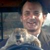 Groundhog Day's Photo