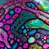 Seeking help within order from a pharmaceutical manufacturer of peptides - last post by invisiblejungle