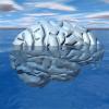 Need help boosting my cognitive flexibility - last post by neurobliss