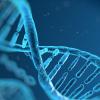 Trustworthy Epitalon vendor now that Ceretropic is gone? - last post by redbaron4321