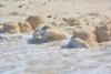 Sandcastles On The Beach